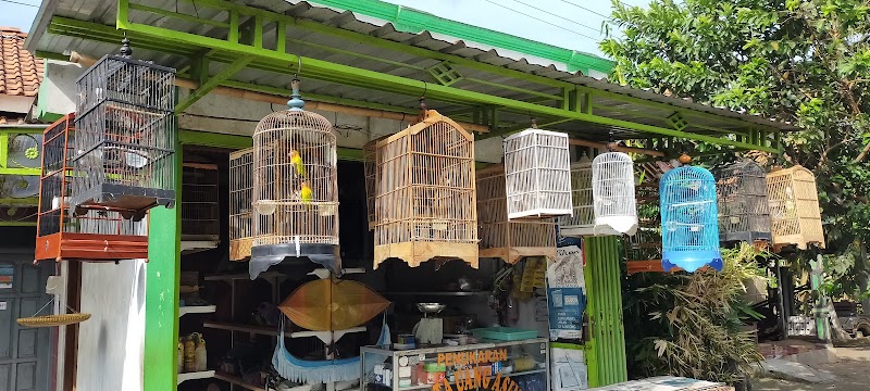 Mengenal Seni Merawat Burung di Jantung Cilacap